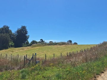Venta / Parcela / Llanquihue