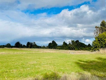 Venta / Parcela / Llanquihue