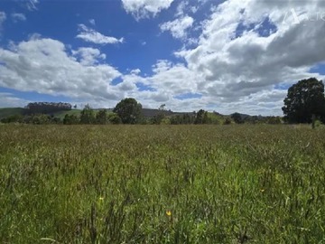 Venta / Parcela / Llanquihue
