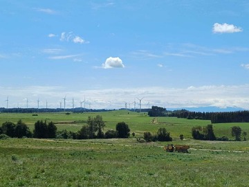 Venta / Parcela / Llanquihue