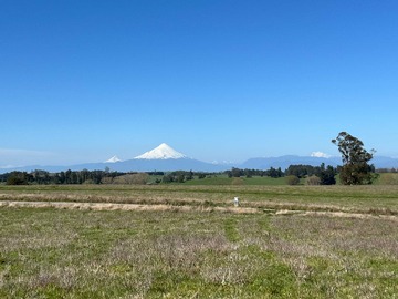 Venta / Parcela / Llanquihue