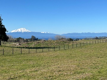 Venta / Parcela / Llanquihue