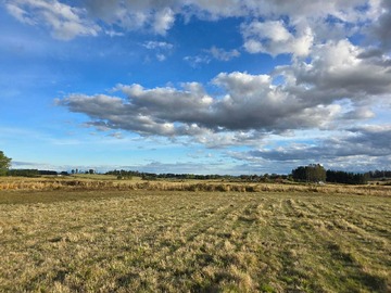 Venta / Parcela / Llanquihue