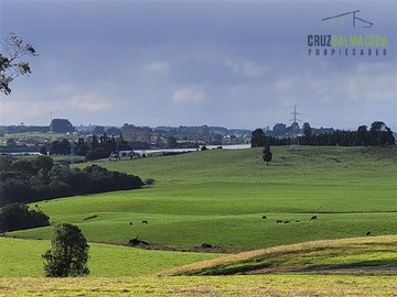 Venta / Parcela / Llanquihue