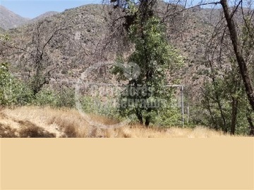 Imagen 8