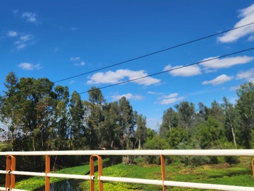 Imagen 9