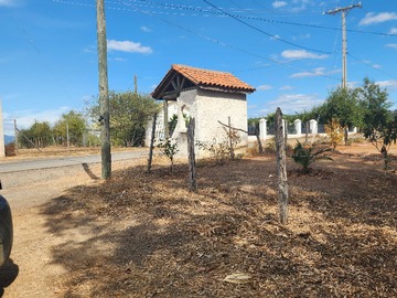 Imagen 6