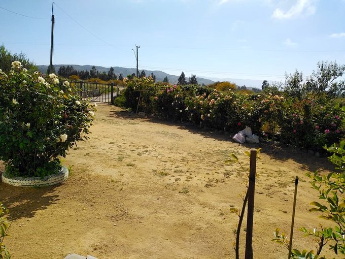 Vista desde la casa hacia acceso principal