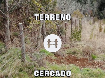 Imagen 7