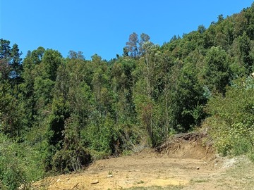 Venta / Parcela / Loncoche