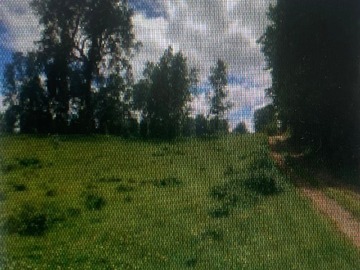 Imagen 6