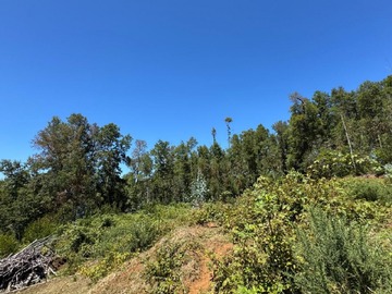 Venta / Parcela / Loncoche