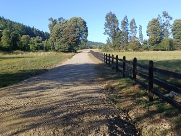 Venta / Parcela / Loncoche