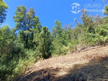 Imagen 6