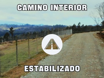 Imagen 6