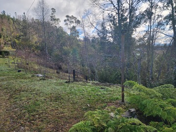 Imagen 11