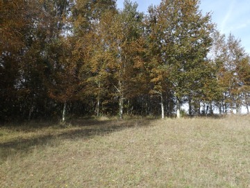 Venta / Parcela / Loncoche