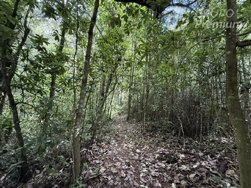 Venta / Parcela / Loncoche