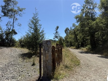 Imagen 16