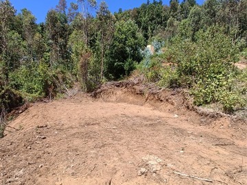 Imagen 11