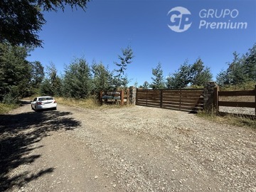 Imagen 20