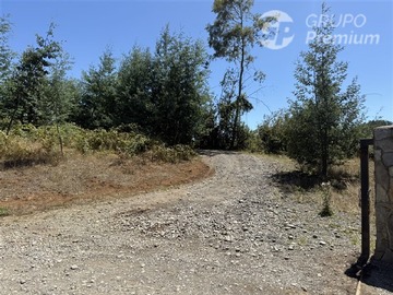 Imagen 15