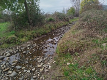Imagen 18