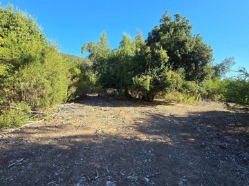 Imagen 9