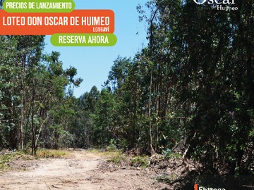 Venta / Parcela / Longaví