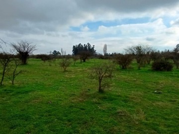 Imagen 17