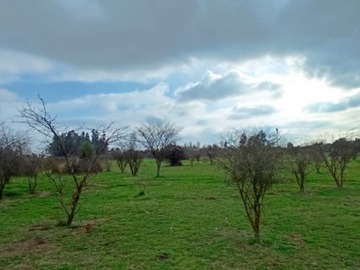 Imagen 8