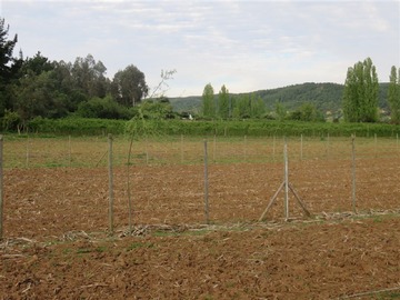 Imagen 15