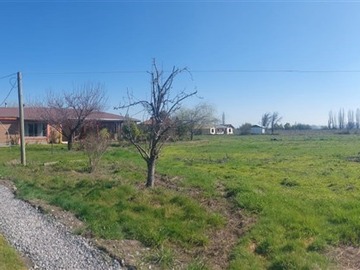 Venta / Parcela / Longaví