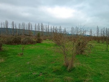Imagen 15