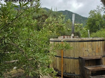 Imagen 6