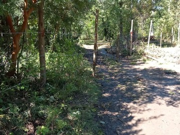 Venta / Parcela / Longaví