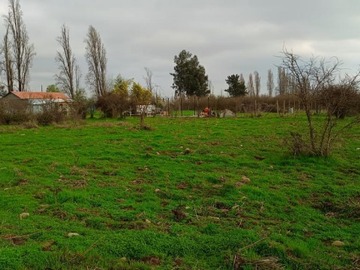 Venta / Parcela / Longaví
