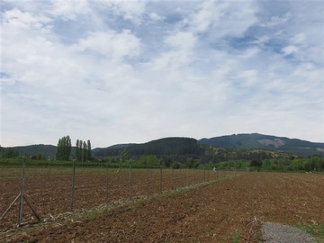 Venta / Parcela / Longaví