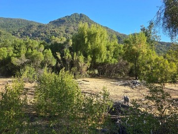 Venta / Parcela / Longaví