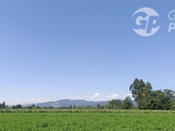 Imagen 25