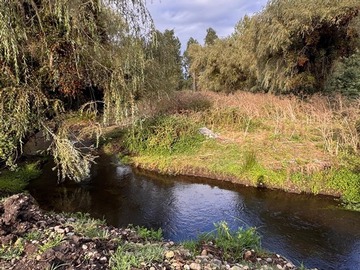 Venta / Parcela / Longaví