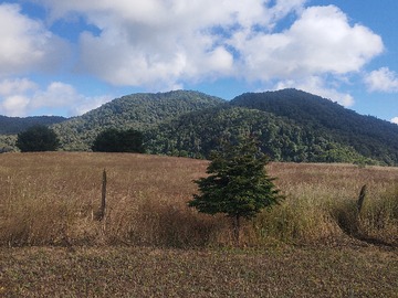 Venta / Parcela / Lonquimay