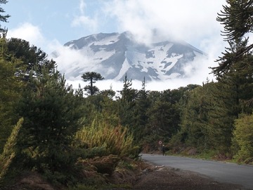 Venta / Parcela / Lonquimay