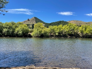 Venta / Parcela / Lonquimay