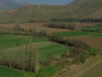 Imagen 9
