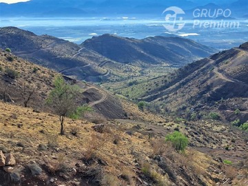 Imagen 5
