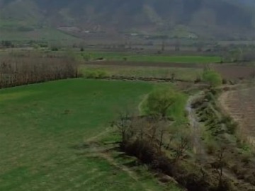 Imagen 12