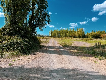 Venta / Parcela / Los Ángeles