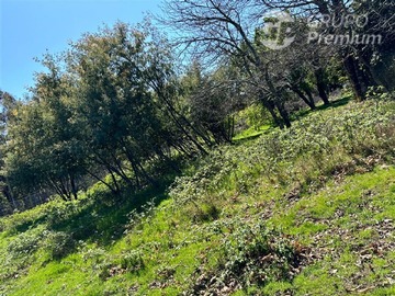Imagen 9