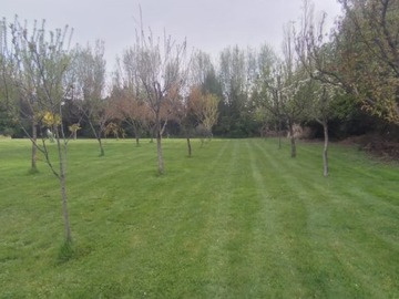 Imagen 14